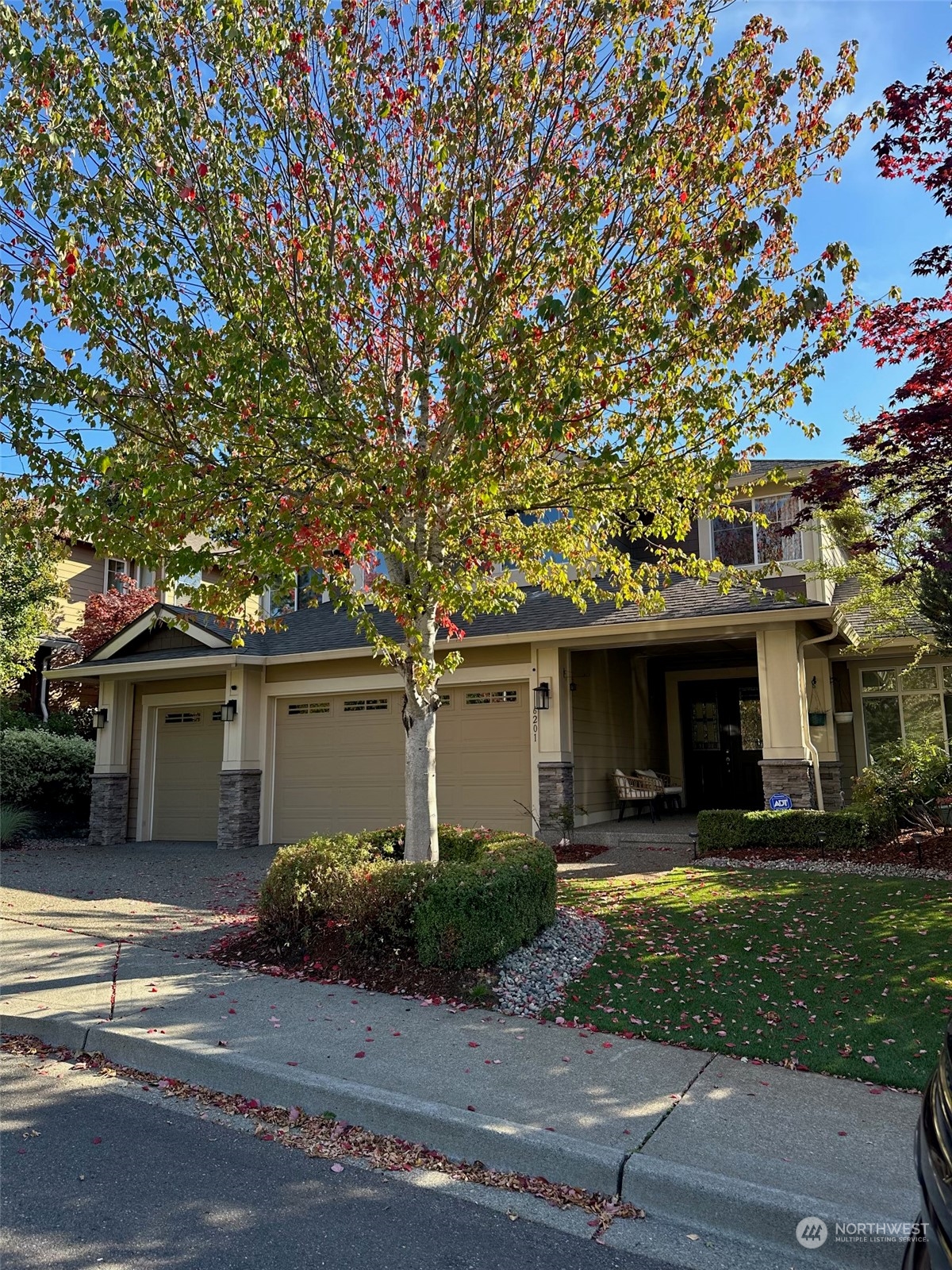 a front view of a house with yard and green space