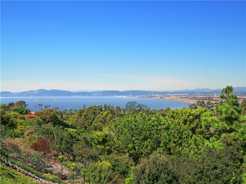 a view of a city with lush green forest