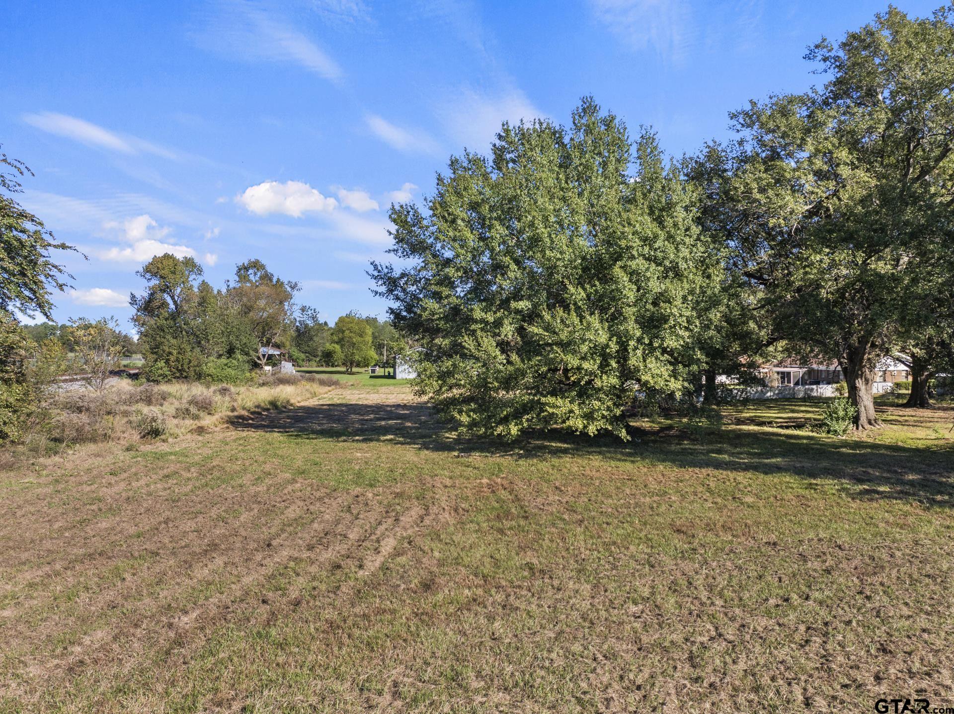 a view of a yard with an trees