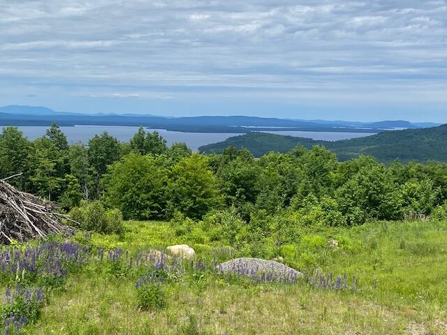 View from proposed house site