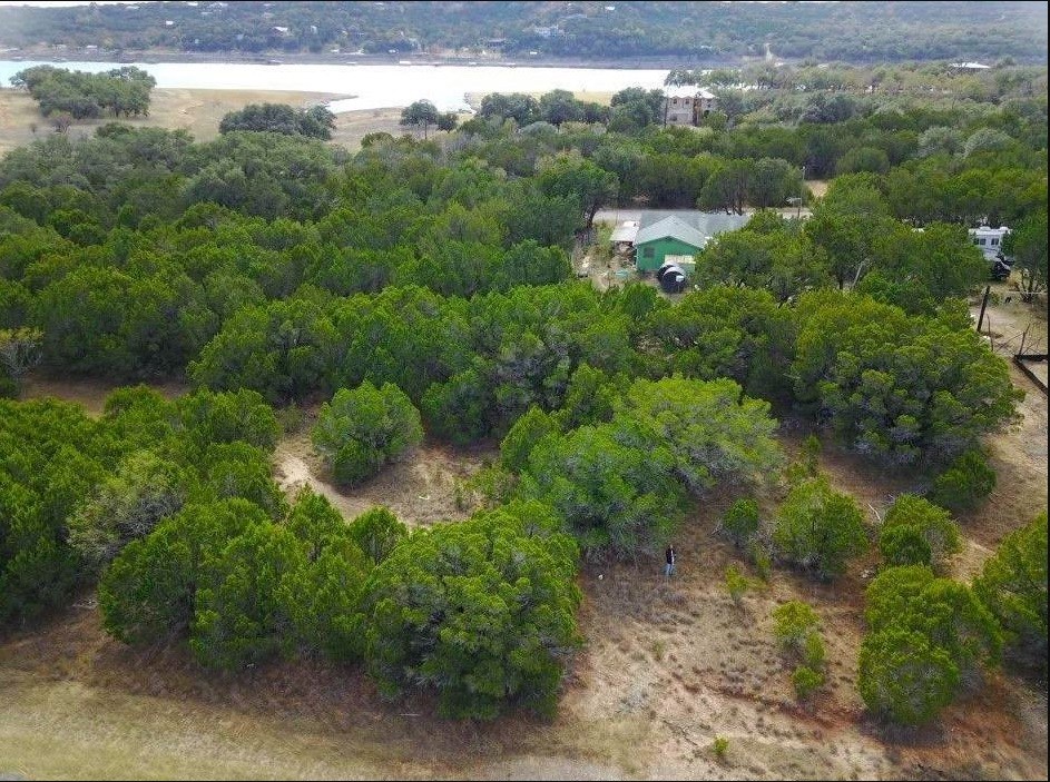 a view of a forest with a sink