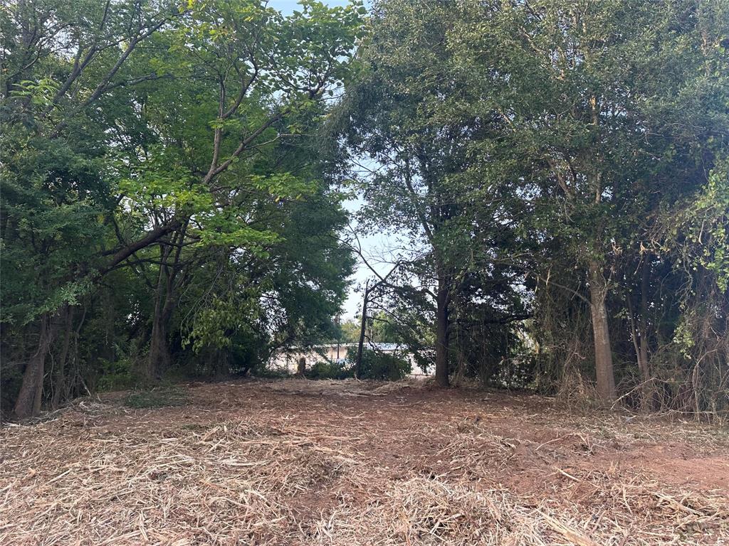 a view of outdoor space with trees