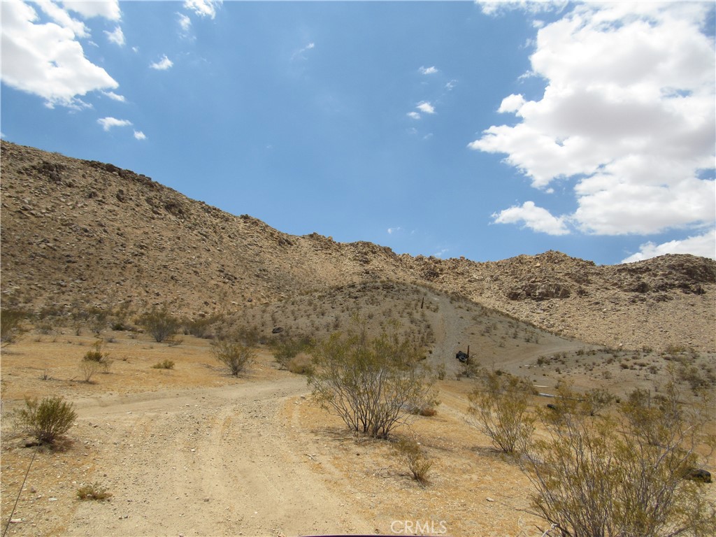 a view of a dry yard with a mountain in the background