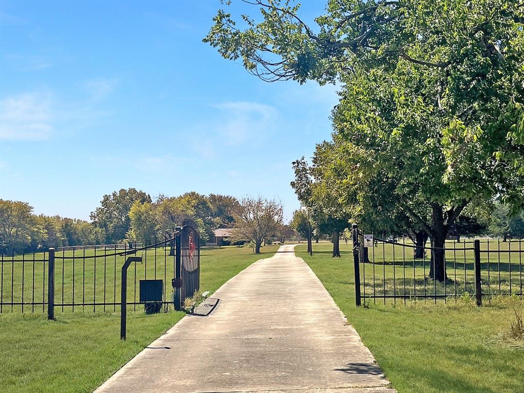 a park with lots of trees and plants