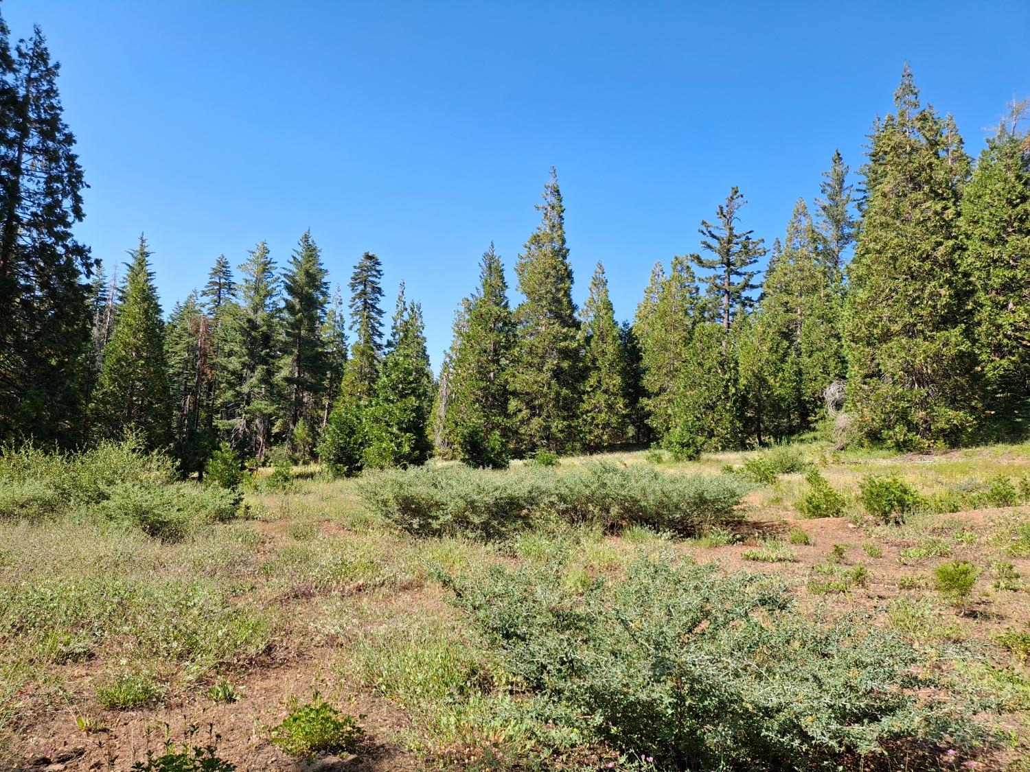 a view of a large yard with lots of green space