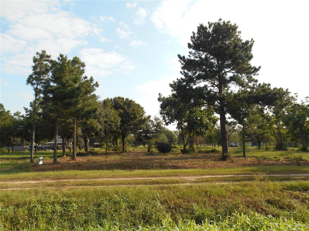 a view of grassy field with trees