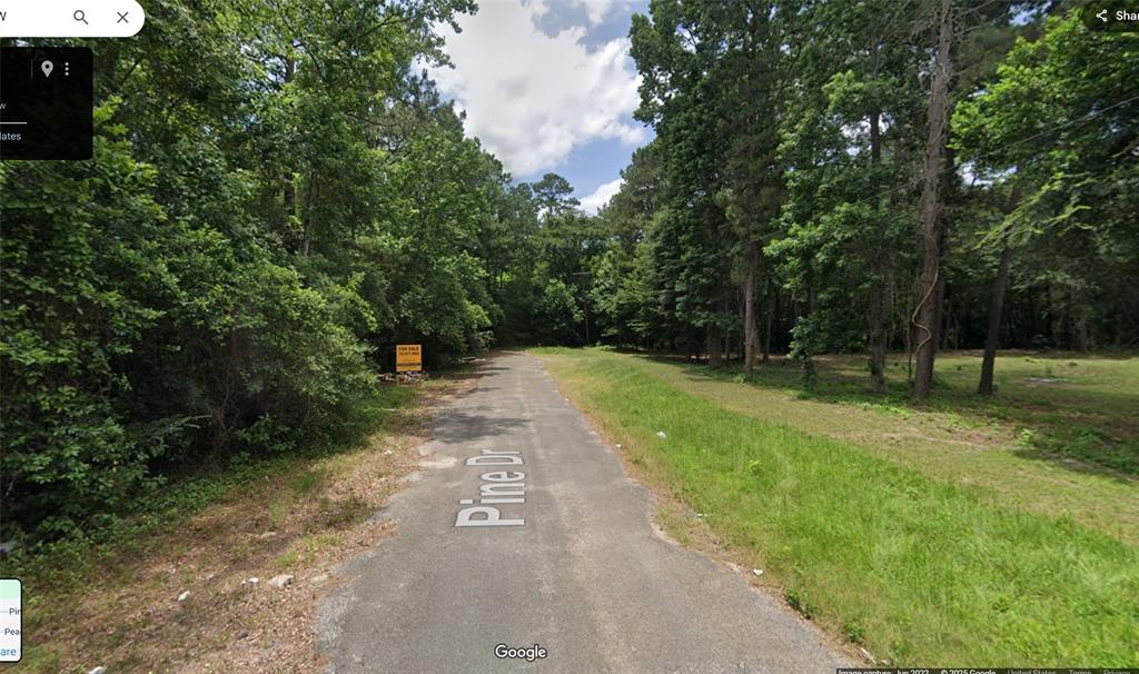 a view of a park with large trees