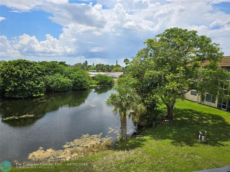 a view of a lake with a garden