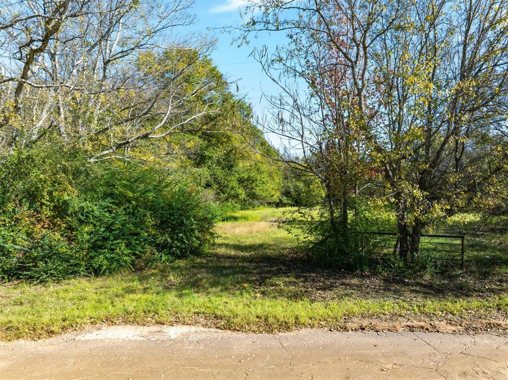 a view of yard with green space