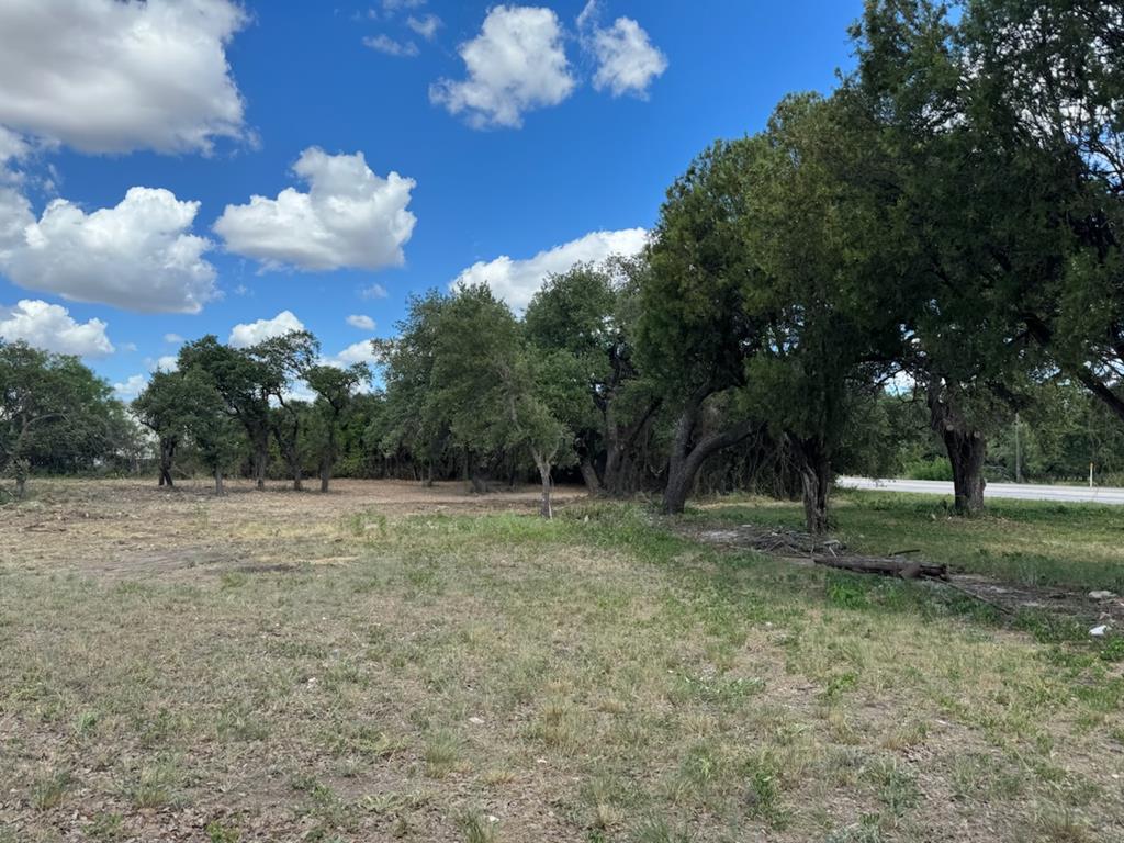 a view of outdoor space with trees all around