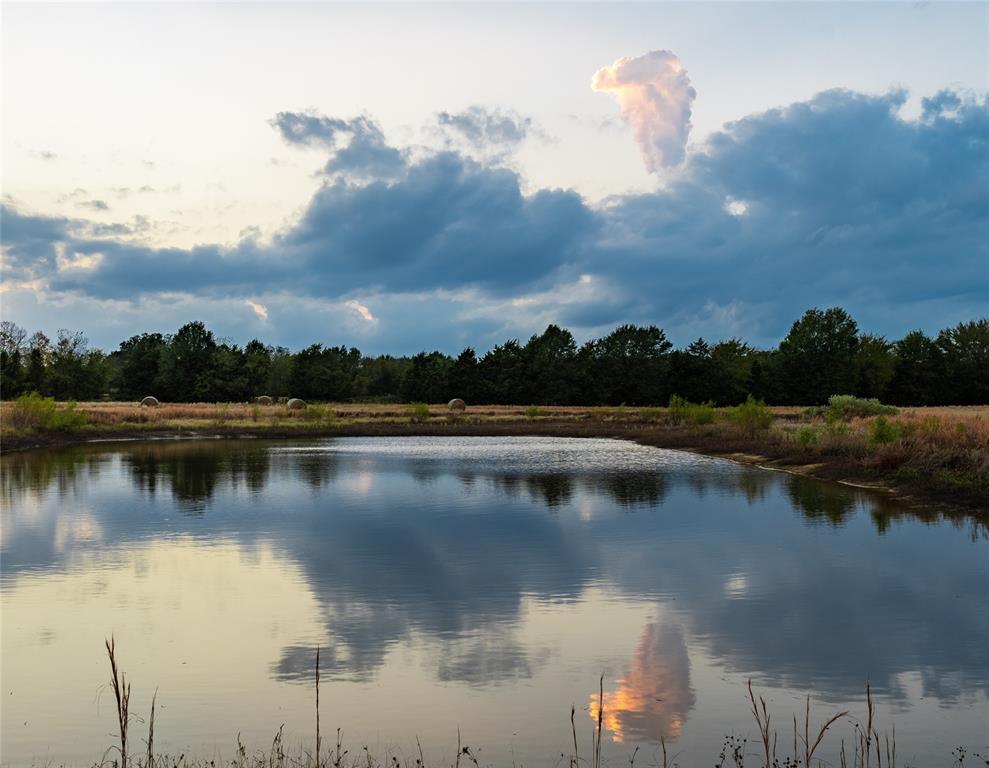 a view of a lake in between two of people