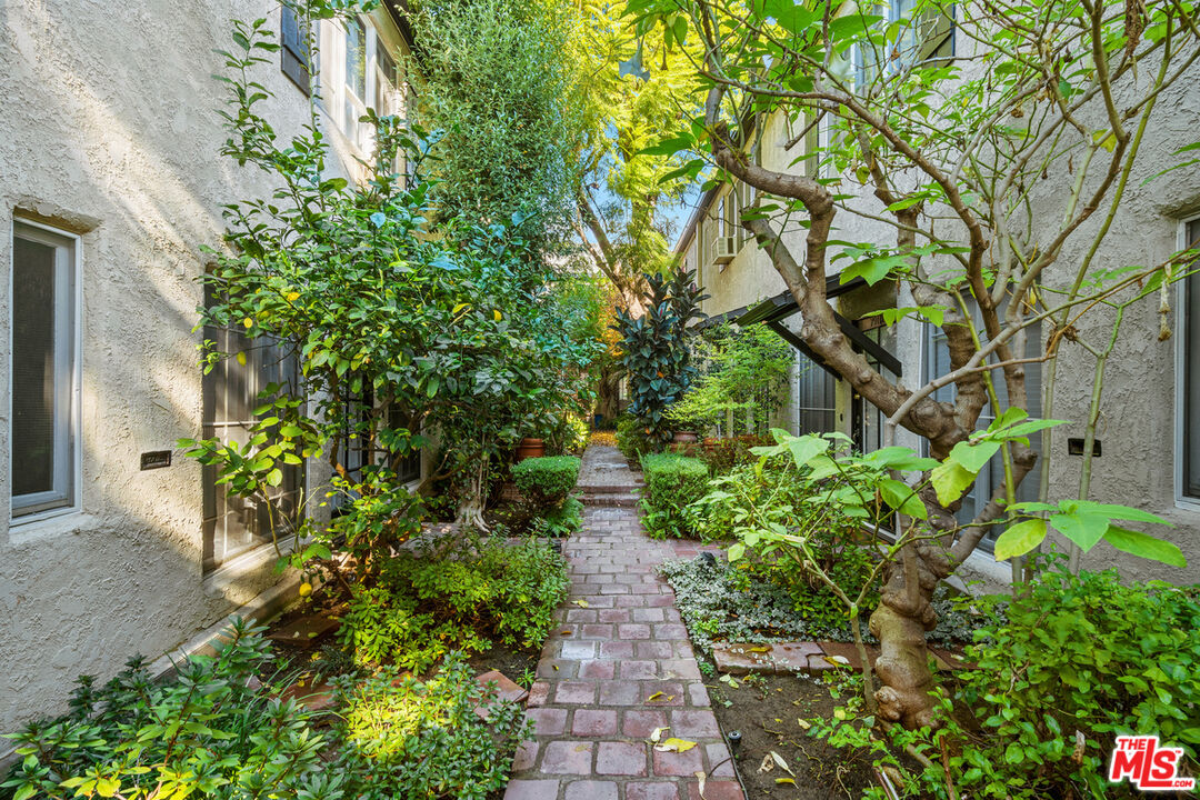 a view of a pathway with a tree