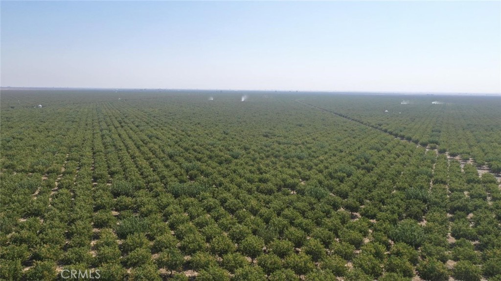 an aerial view of forest