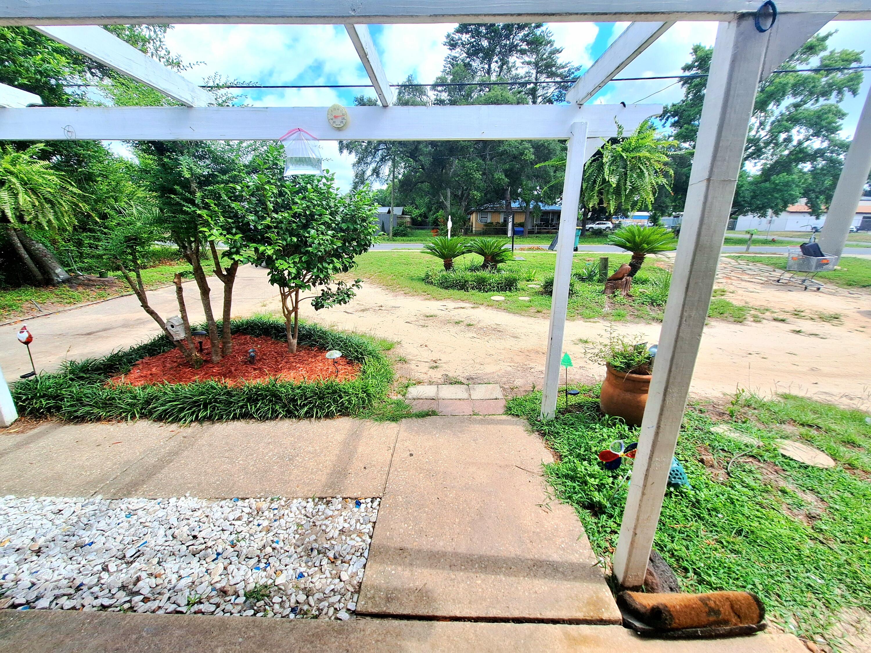 a view of a backyard with potted plants