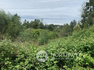 a view of a lake and green space