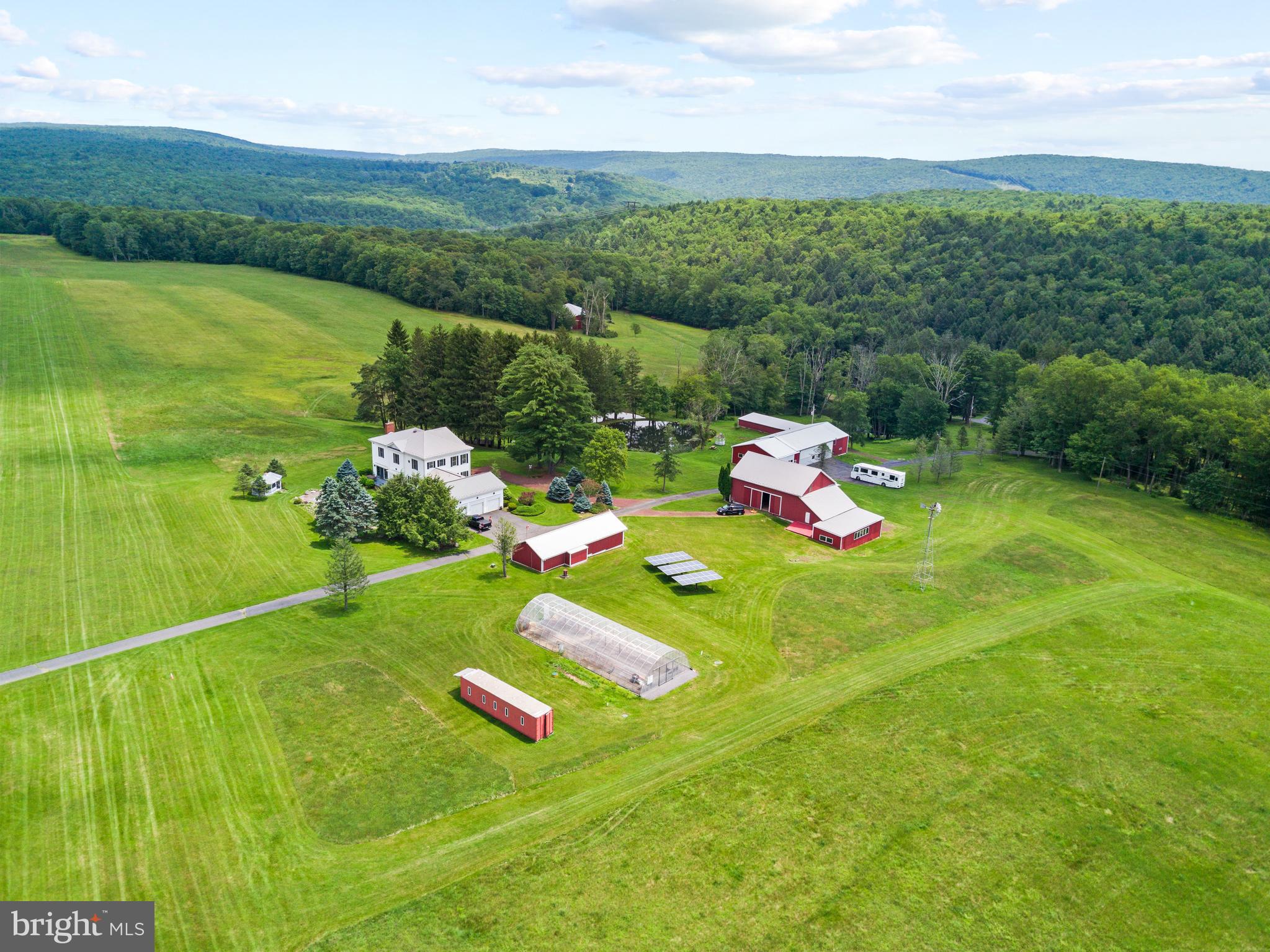 a green field with lots of green space