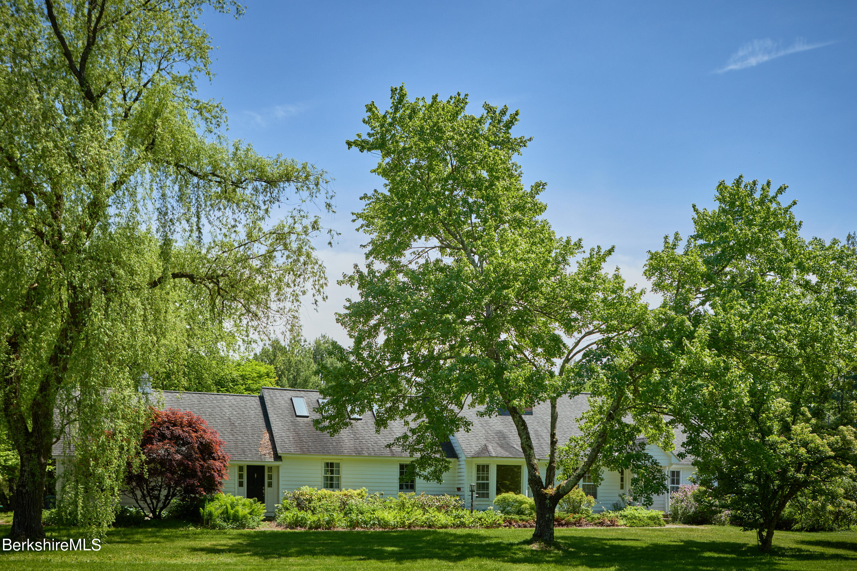 a view of a yard with plants and trees