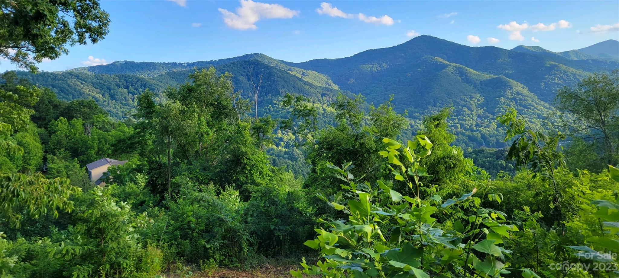 a view of a lush green hillside and a building in the background