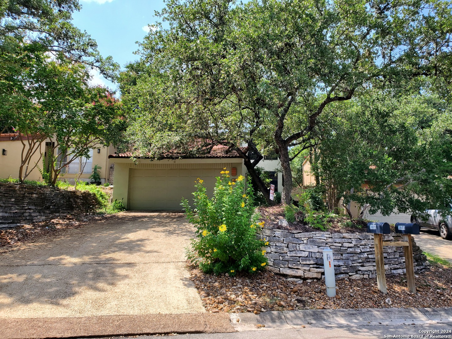 a view of backyard with plants and trees