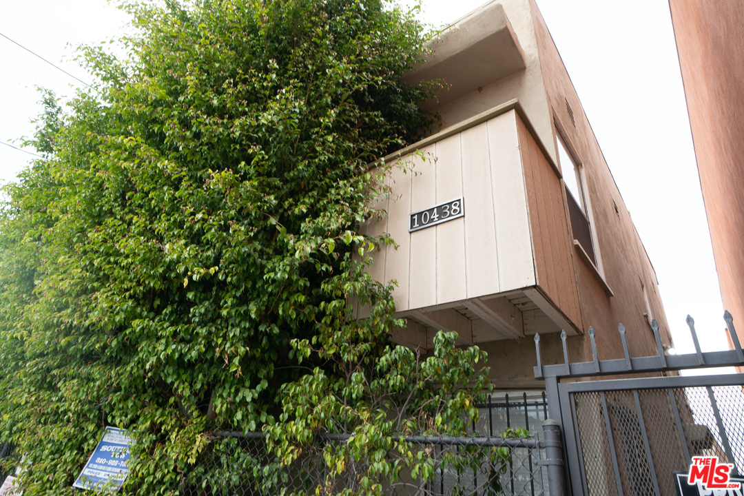 a view of a house with a tree