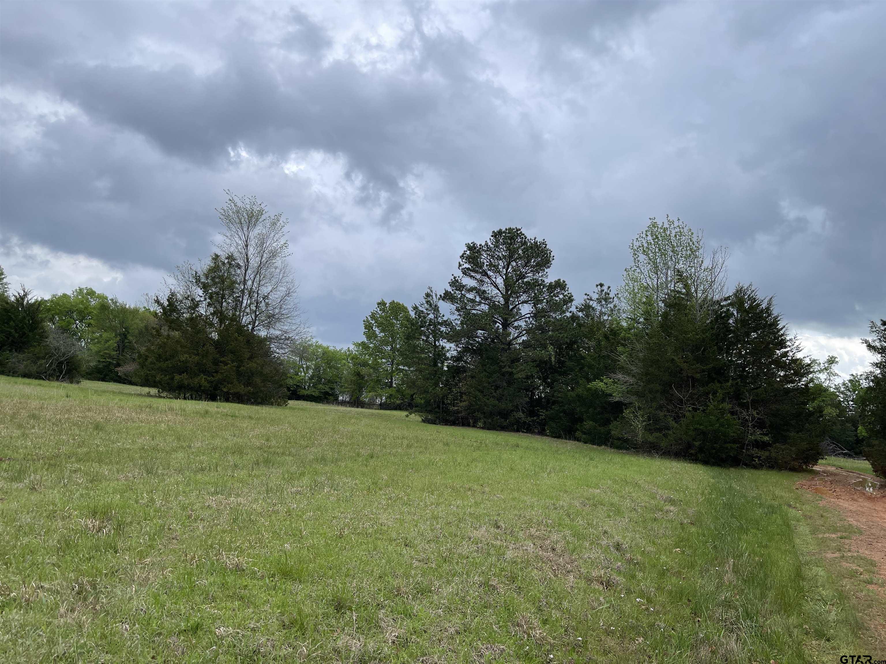 a view of a field of grass and trees