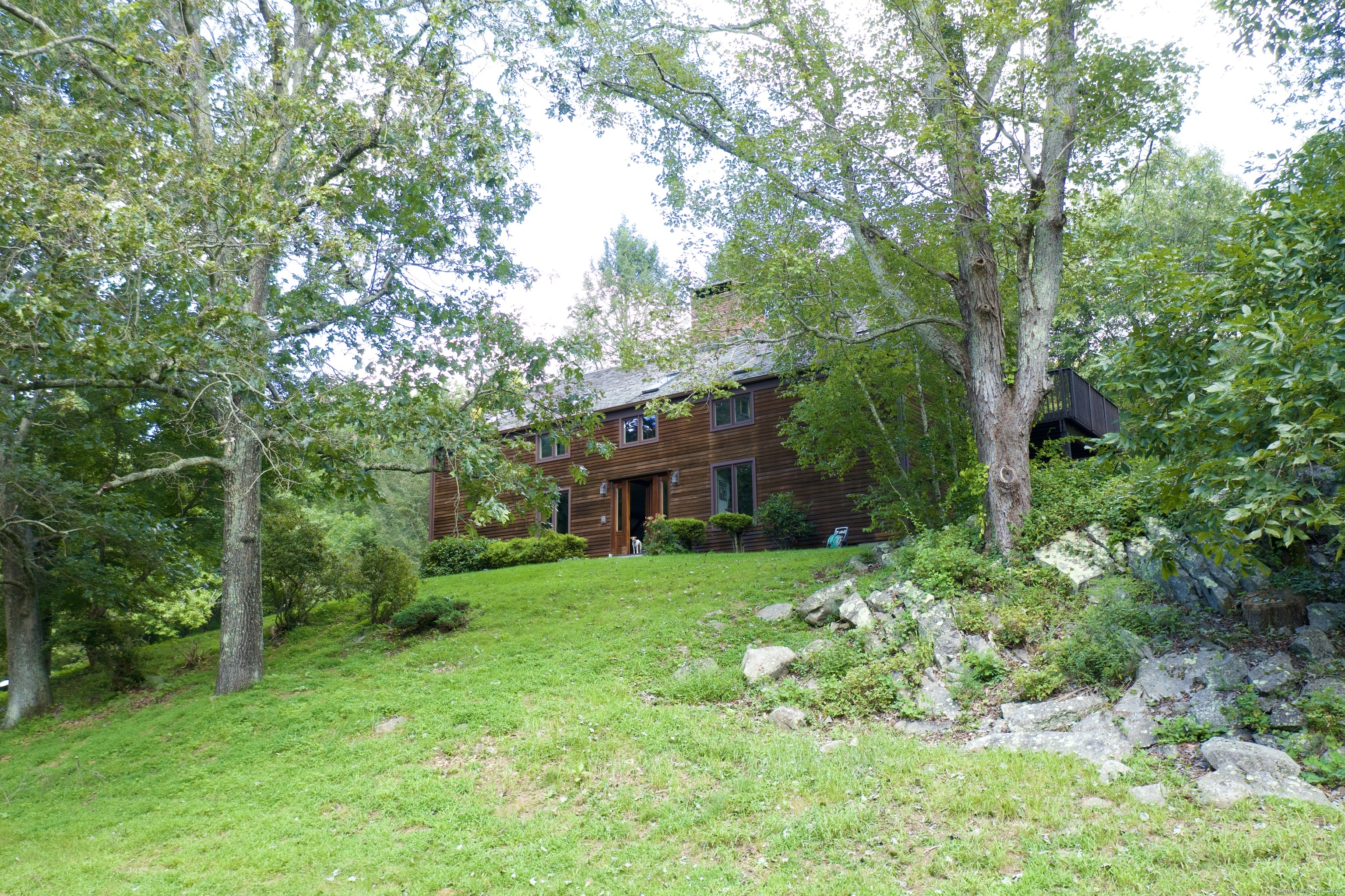 a view of a house with a big yard plants and large trees