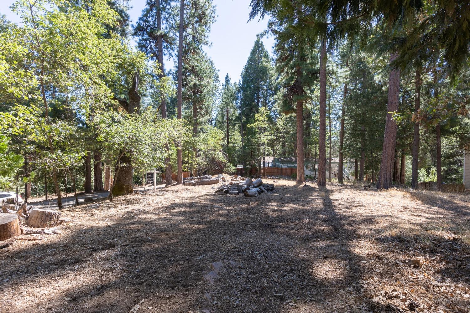 a view of a tree with a yard