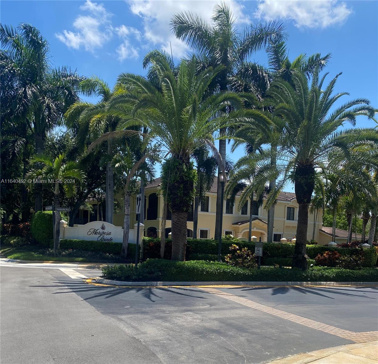 a couple of palm trees in front of house