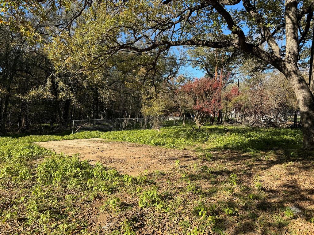 a view of a backyard with large trees