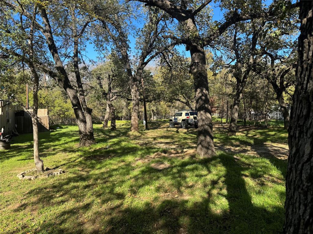 a view of yard with green space