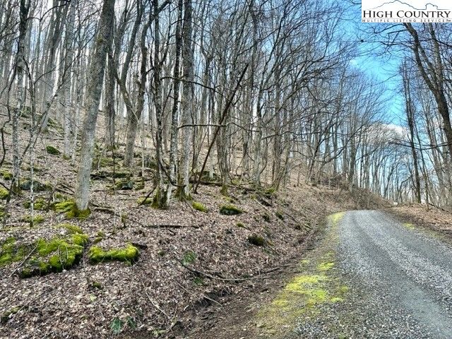 $19,500 | Poplar Trail | Creston Township - Ashe County