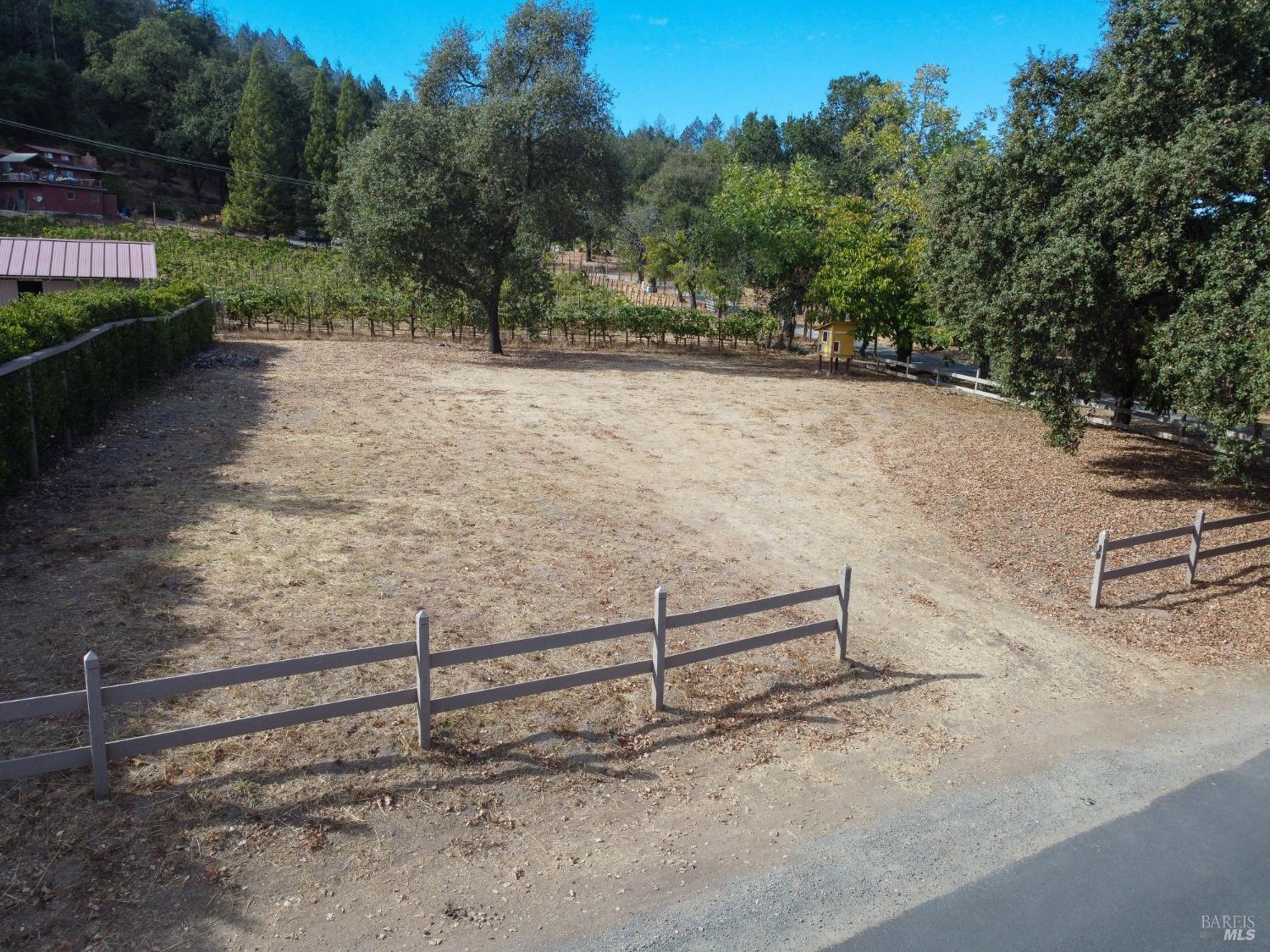 a view of a backyard with trees