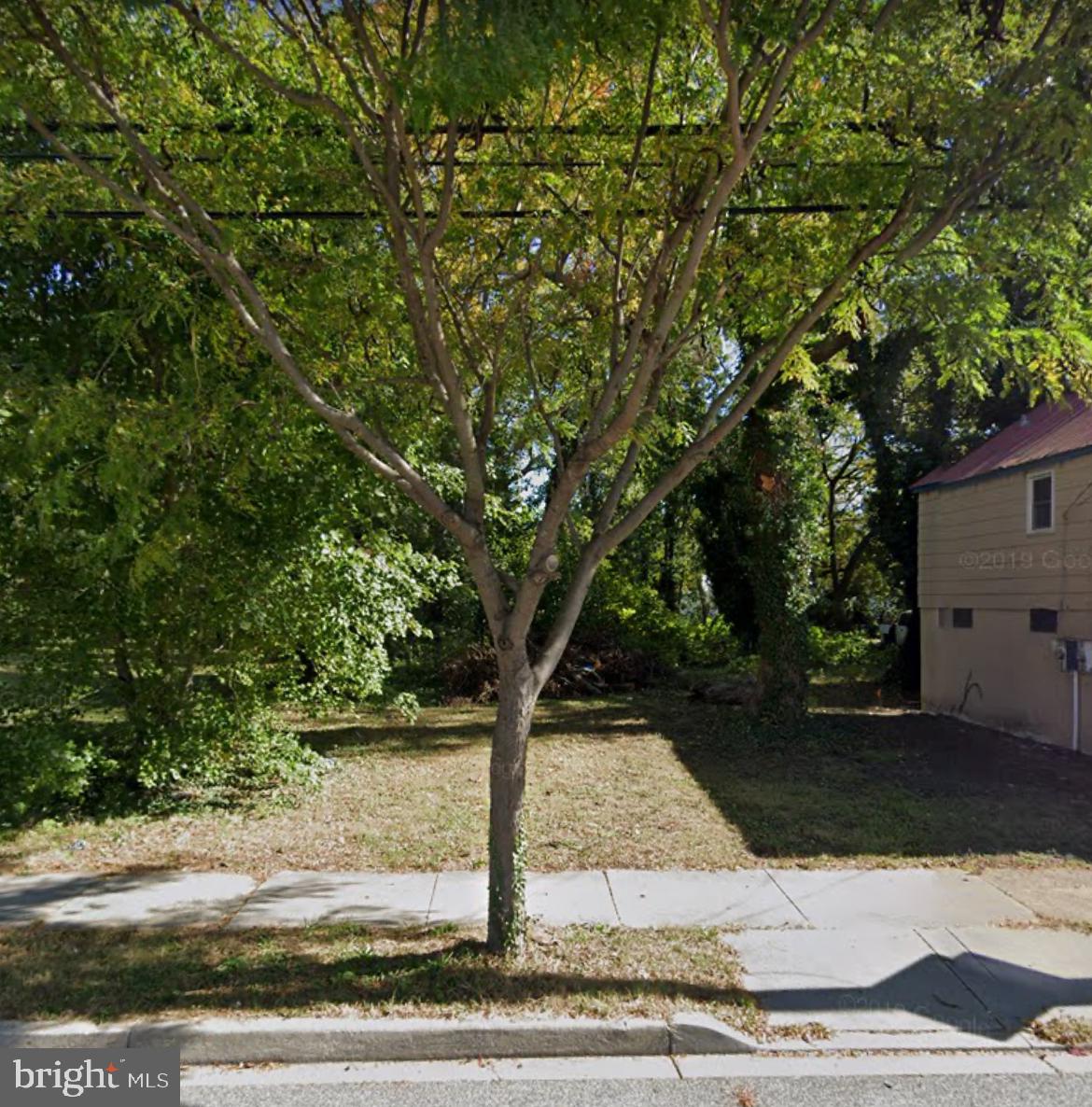 a view of a tree in front of a house