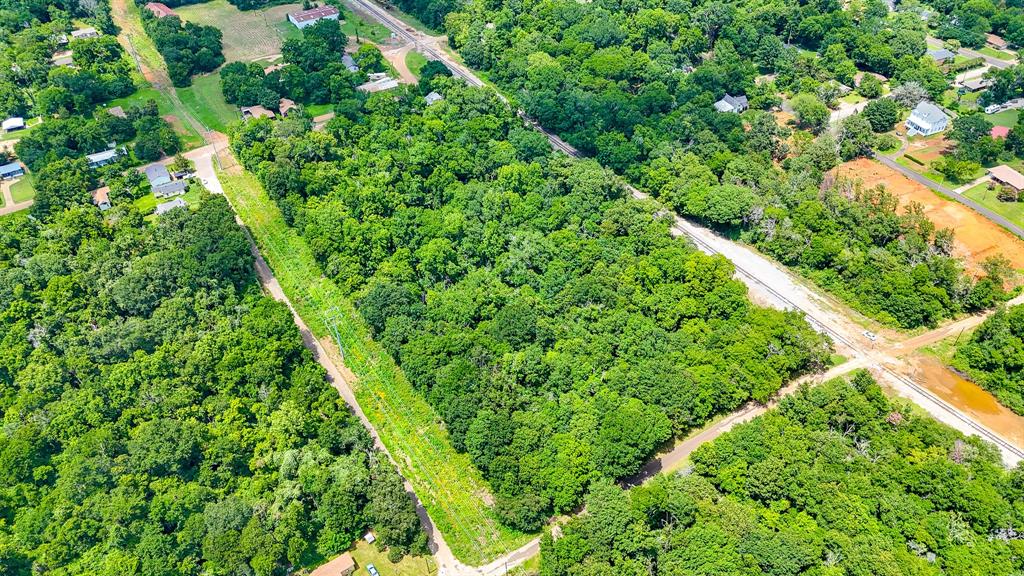 view of a lush green forest with lots of trees