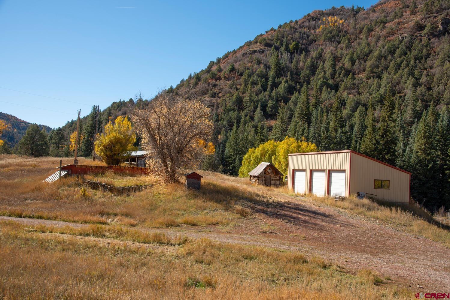 a view of a yard with trees