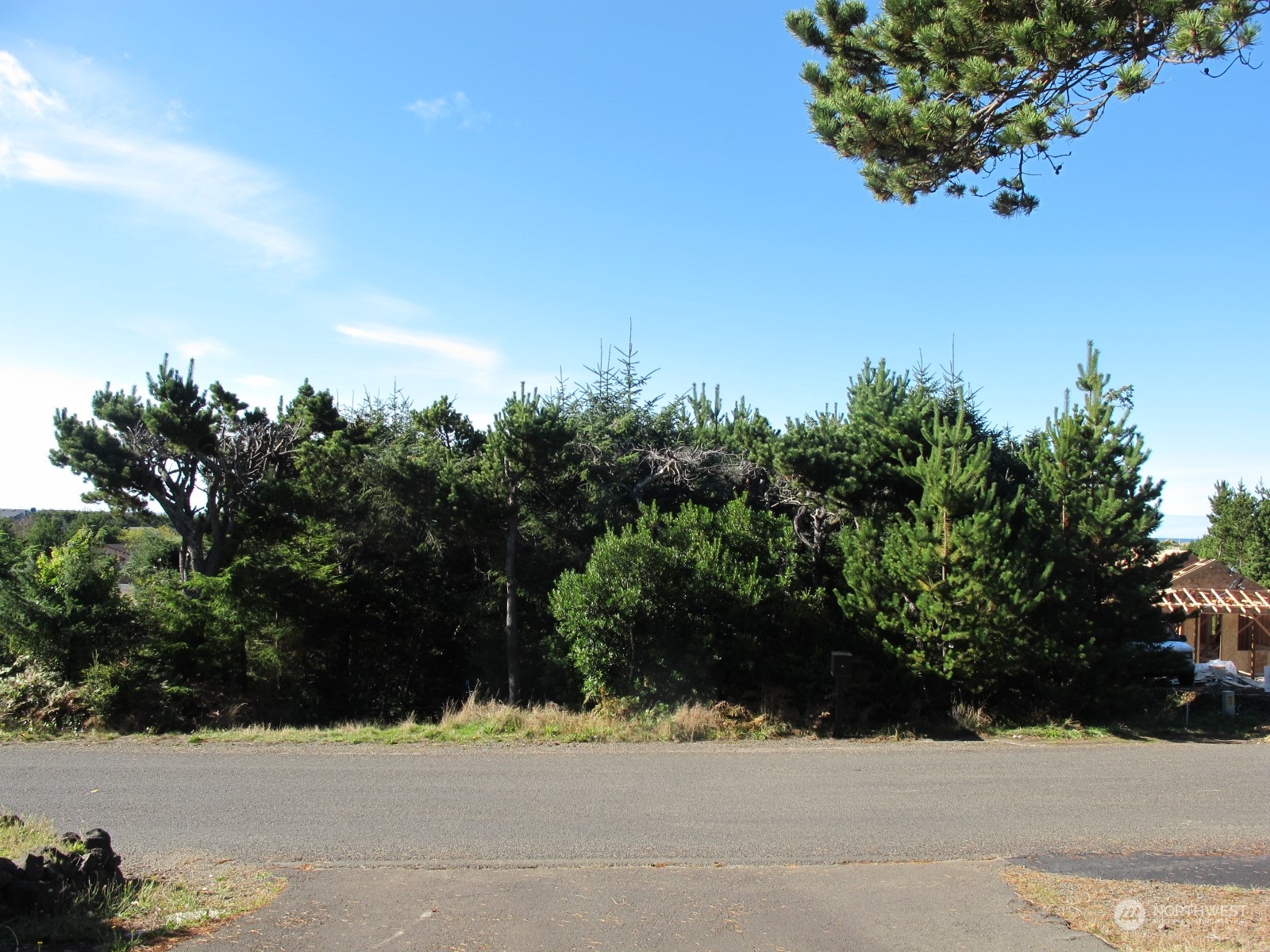 a view of a garden with a flower in a garden