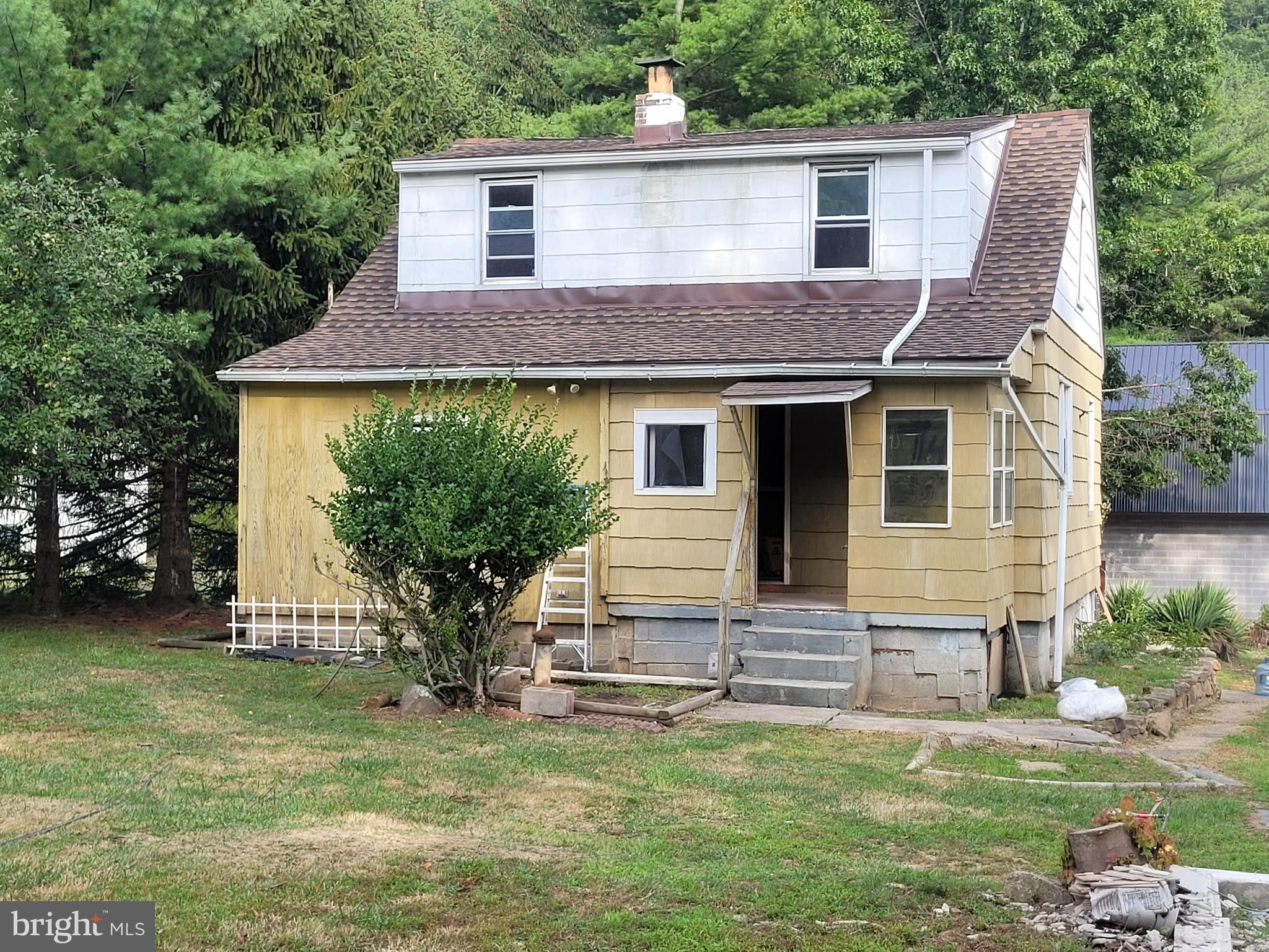 a house that has a big yard plants and large trees