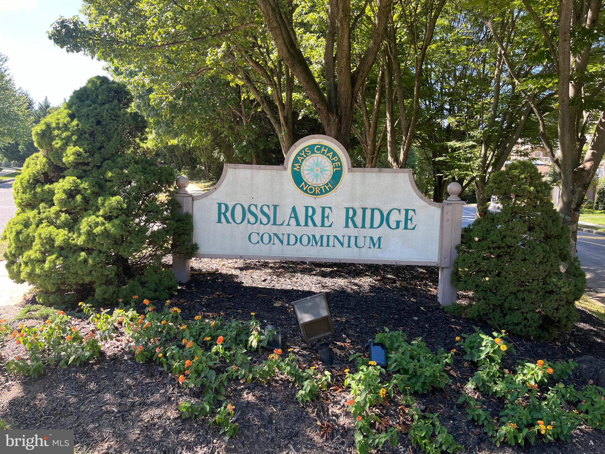 Rosslare Ridge!