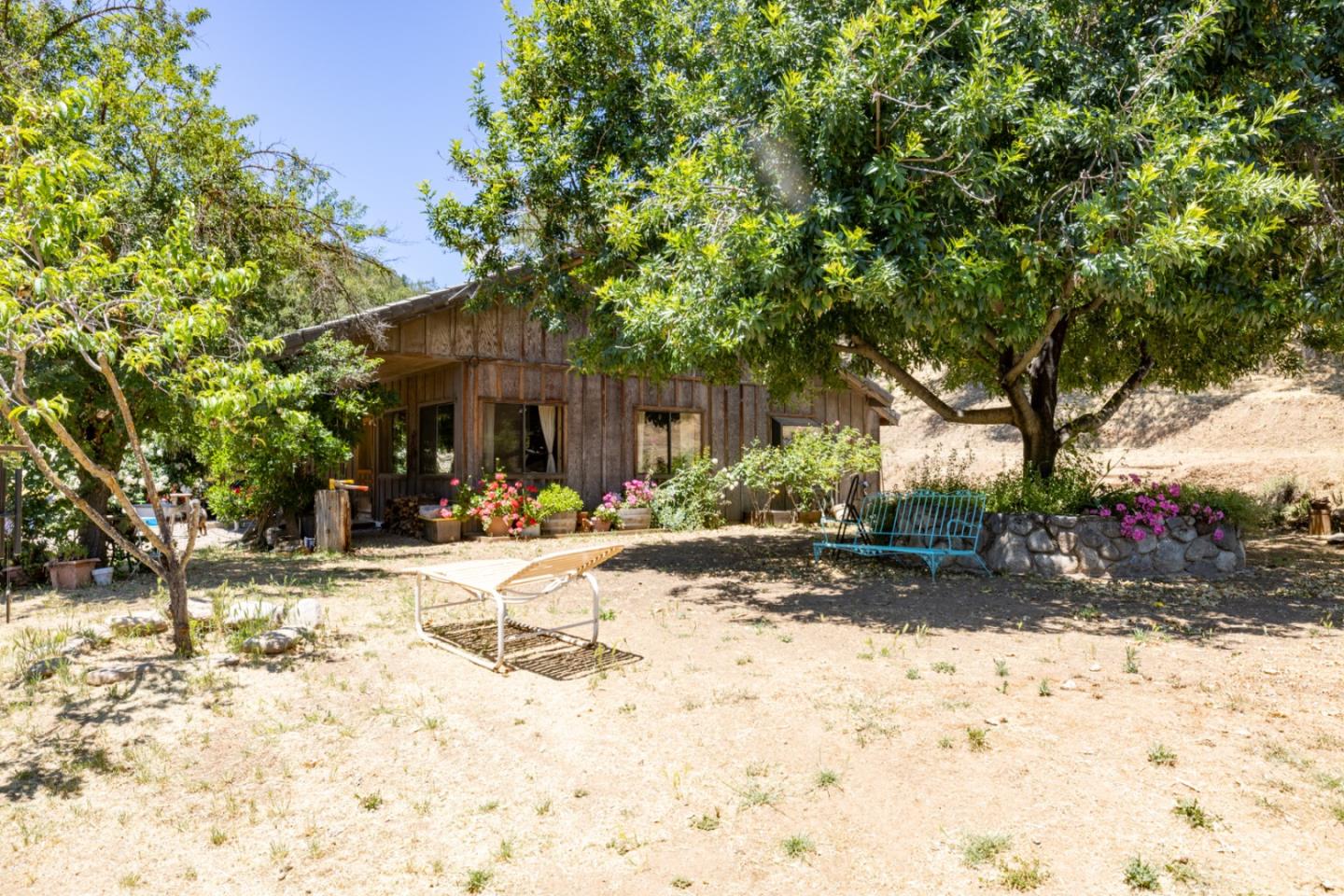 a view of a backyard with a tree