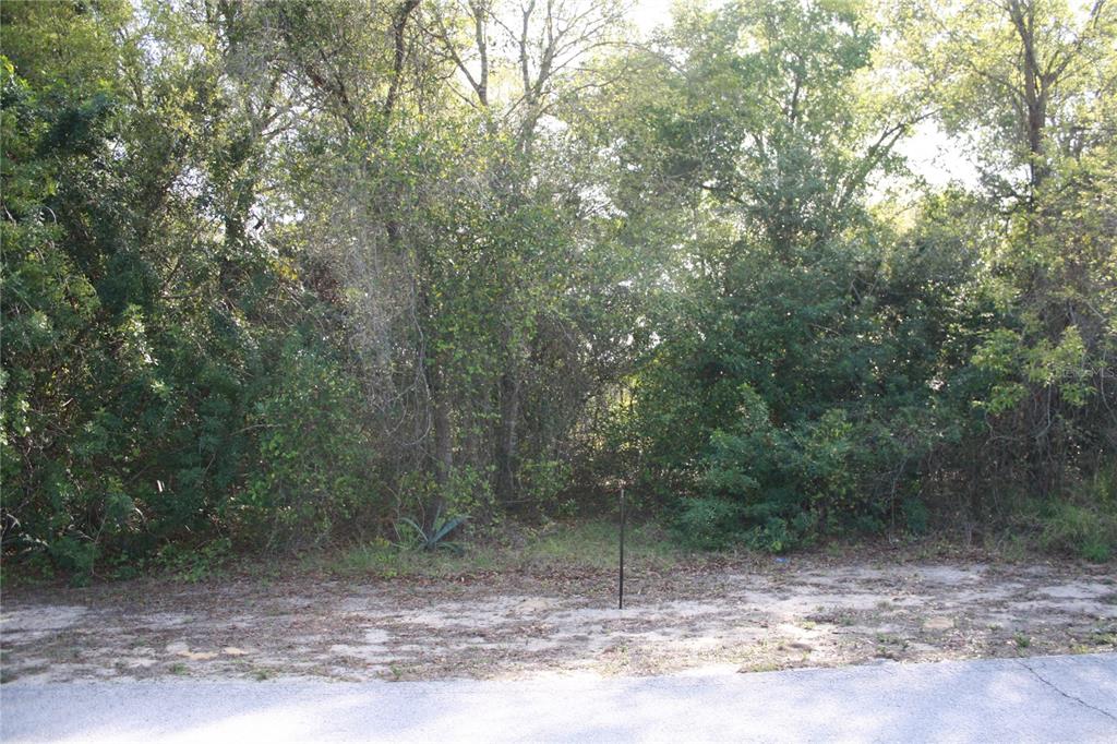 a view of a yard with a tree