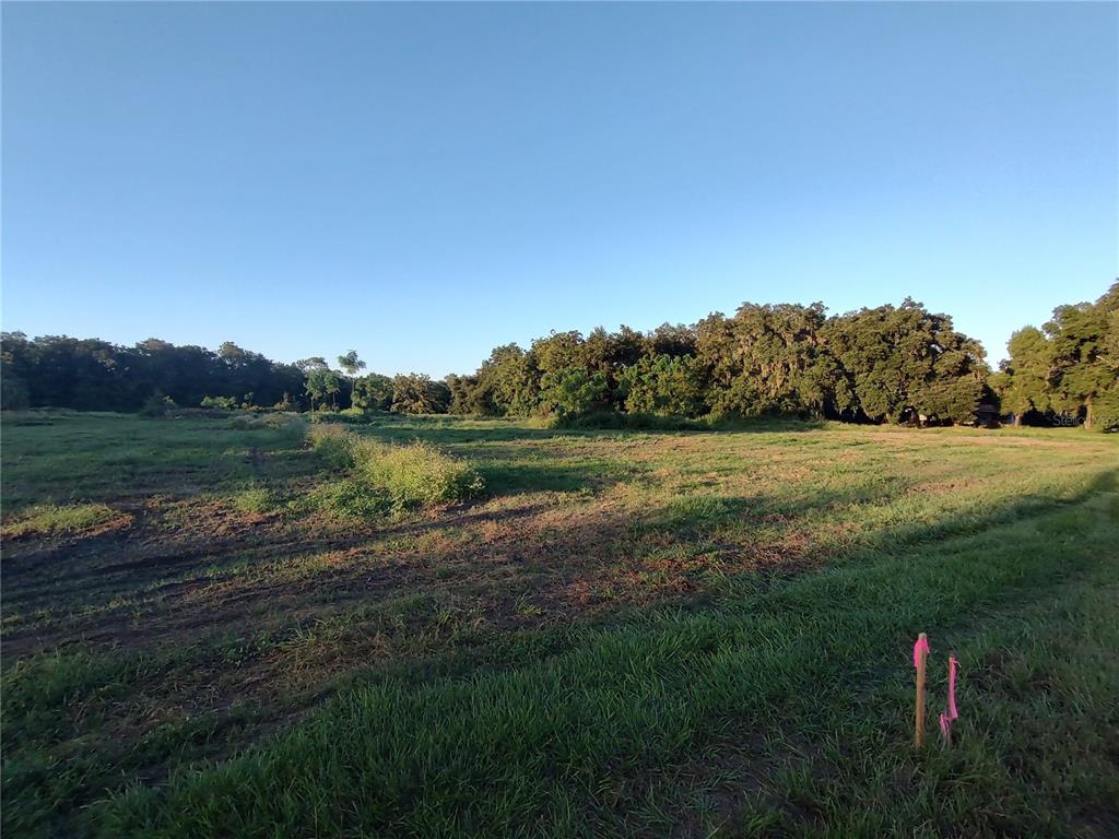 a view of a lake with a big yard