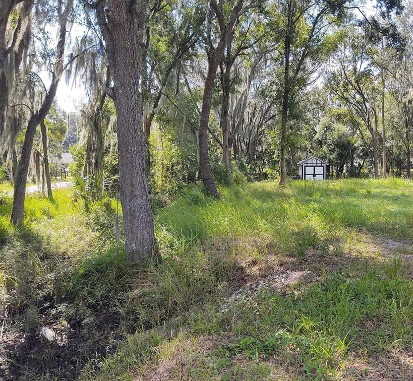 a big yard with lots of green space and trees