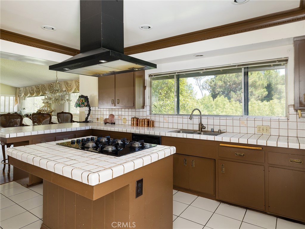 a kitchen with a sink a counter top space and cabinets