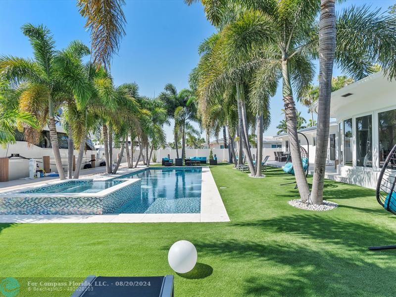 a view of a backyard with palm trees