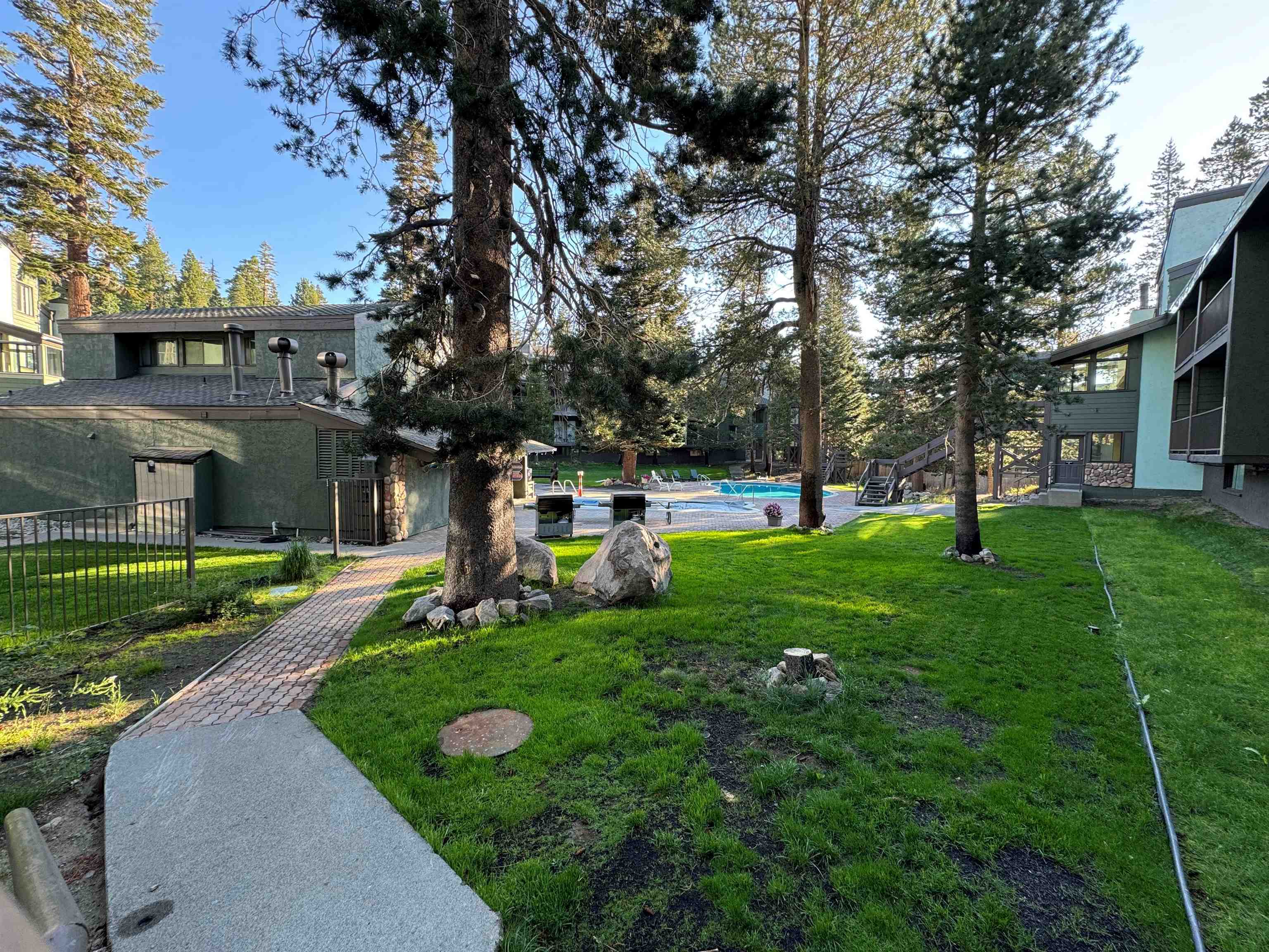 a view of a park with large trees