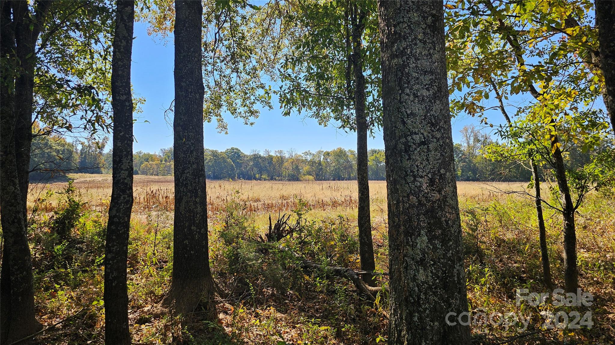 a view of lake