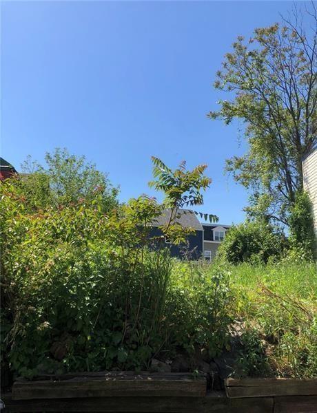 a view of a garden with a building in the background