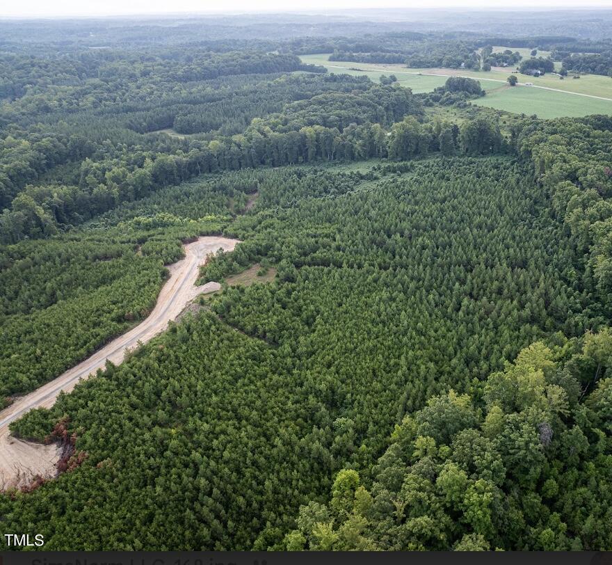 an aerial view of forest