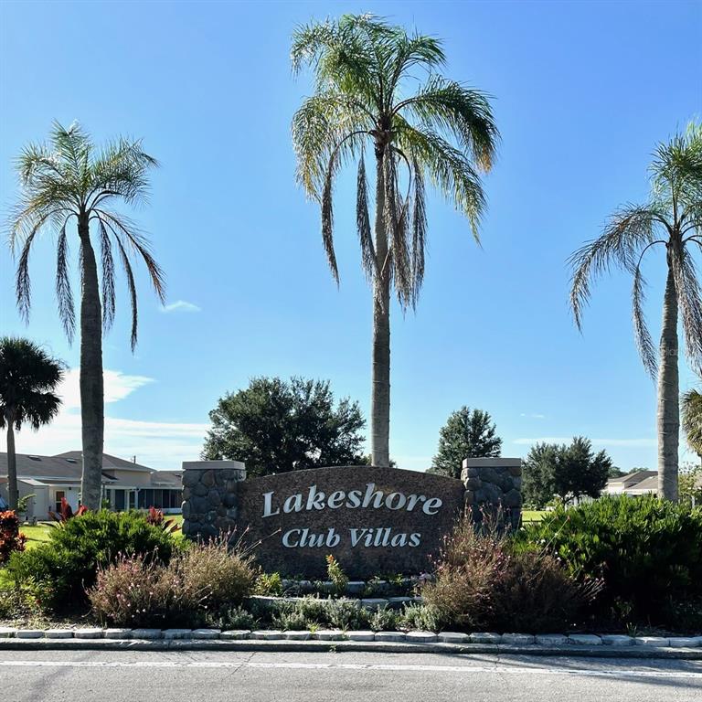 a view of palm trees and palm tree