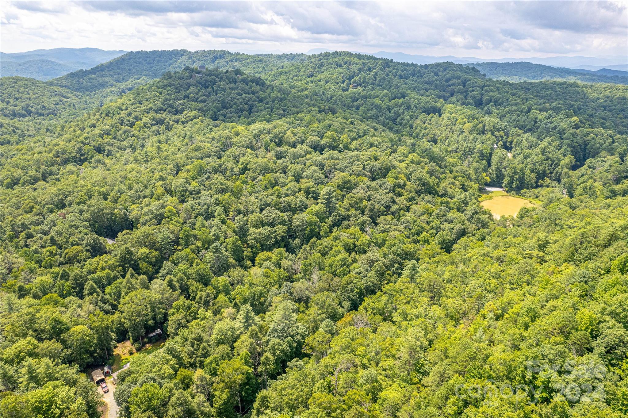 a view of a lush green forest with a mountain